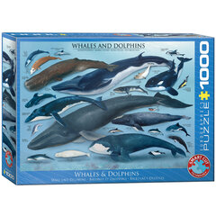 Пазл Eurographics, 6000-0082, Whales and Dolphins, 1000 шт. цена и информация | Пазлы | kaup24.ee