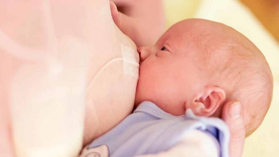 Supplemental Breastfeeding System Medela 009.0005 (Renoveeritud C) hind ja info | Lutipudelid ja aksessuaarid | kaup24.ee