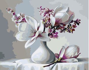 Maalid numbrite järgi "Magnolias" 40x50 G hind ja info | Maalid numbri järgi | kaup24.ee
