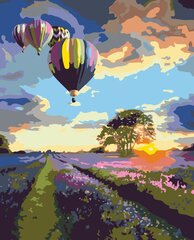Maalid numbrite järgi "Air balloons" 40x50 G hind ja info | Maalid numbri järgi | kaup24.ee