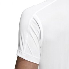 Meeste T-särk Adidas D2M CCool Polo M DT3049, valge hind ja info | Meeste spordiriided | kaup24.ee