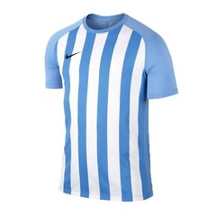 Спортивная футболка мужская Nike Striped SMU III M 832976-412, 47095 цена и информация | Мужская спортивная одежда | kaup24.ee