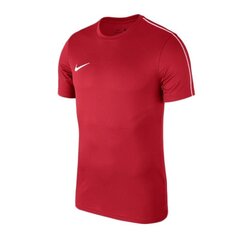 Спортивная футболка для мальчиков Nike Park 18 SS TOP Y NK DRY Jr AA2057 657, красная цена и информация | Рубашки для мальчиков | kaup24.ee