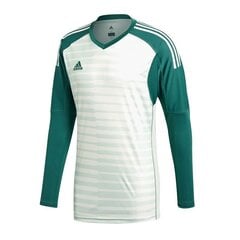Футболка для мальчиков Adidas AdiPro 18 GK JR CV6352_JR, зеленая цена и информация | Рубашки для мальчиков | kaup24.ee