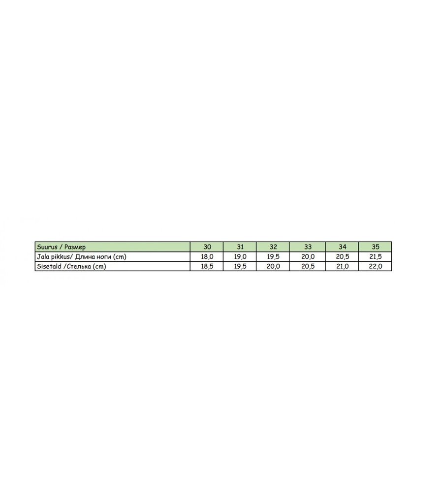 TÜDRUKUTE POOLSAAPAD 141341 01, must/must 141341*01-035 hind ja info | Laste talvesaapad | kaup24.ee