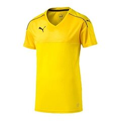 Спортивная футболка мужская Puma Accuracy M 702214-07, 47425 цена и информация | Мужская спортивная одежда | kaup24.ee