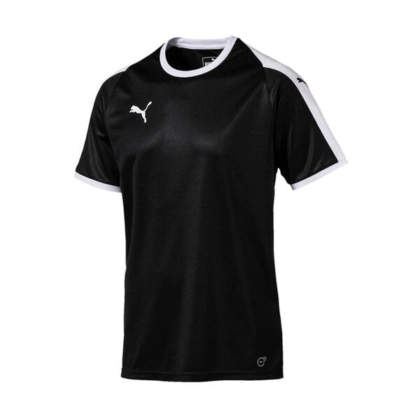 Спортивная футболка мужская Puma LIGA M 703417-03 цена | kaup24.ee