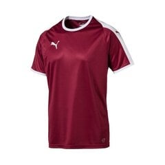 Спортивная футболка мужская Puma Liga M 703417 09 цена и информация | Мужская спортивная одежда | kaup24.ee