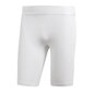 Meeste lühikesed termopüksid Adidas Alphaskin Sprt Tight Shorty M CD7184, valge hind ja info | Meeste soe pesu | kaup24.ee