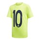 Poiste spordisärk Adidas JR Messi Icon Junior DV1318 48175 hind ja info | Poiste särgid | kaup24.ee
