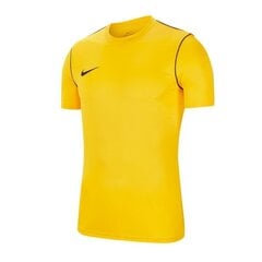 Спортивная футболка для мальчиков Nike Park 20 Junior BV6905-719, 61294, желтая цена и информация | Рубашки для мальчиков | kaup24.ee