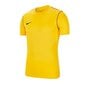 Poiste spordisärk Nike Park 20 Junior BV6905-719, 61294, kollane цена и информация | Poiste särgid | kaup24.ee