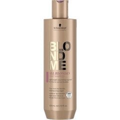 Šampoon õhukestele ja normaalsetele juustele SCHWARZKOPF BLONDME ALL BLONDES LIGHT, 300 ml цена и информация | Шампуни | kaup24.ee