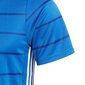 Meeste T-särk adidas Campeon 21 M FT6762 цена и информация | Meeste spordiriided | kaup24.ee