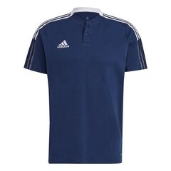 Мужская футболка Adidas Tiro 21 Polo M GH4462 цена и информация | Мужская спортивная одежда | kaup24.ee