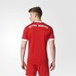 Meeste spordisärk Adidas FC Bayern Munchen Home 2017/2018 M AZ7961, punane hind ja info | Meeste spordiriided | kaup24.ee