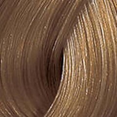 Краска для волос Wella Color Touch 8.71, 60 мл цена и информация | Краска для волос | kaup24.ee