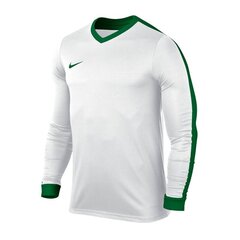 Футболка для мальчиков Nike JR Striker Dri Fit IV Jr 725977 102, бело-зеленая цена и информация | Рубашки для мальчиков | kaup24.ee