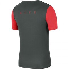 Спортивная футболка для мальчиков Nike Dry Academy PRO TOP SS Jr BV6947 064 (58315) цена и информация | Рубашки для мальчиков | kaup24.ee