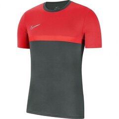 Спортивная футболка для мальчиков Nike Dry Academy PRO TOP SS Jr BV6947 064 (58315) цена и информация | Рубашки для мальчиков | kaup24.ee