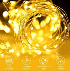 Светодиодная водонепроницаемая гирлянда, 22 м, 200 лампочек, цвет желтый цена и информация | Новогодняя гирлянда Holiday, 10 светодиодов, 30 см | kaup24.ee