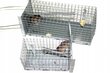 Püünised hiirtele ja rottidele 27x11x11 cm hind ja info | Jahindustarbed | kaup24.ee