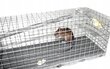 Püünised hiirtele ja rottidele 27x11x11 cm hind ja info | Jahindustarbed | kaup24.ee