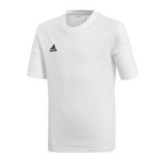 Poiste spordisärk Adidas Squadra 17, valge BJ9197 hind ja info | Poiste särgid | kaup24.ee