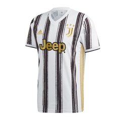 Meeste spordisärk Adidas Juventus Home 20/21 M EI9894 63962 hind ja info | Meeste spordiriided | kaup24.ee