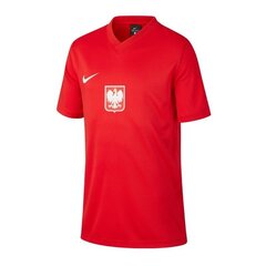 Спортивная футболка Nike Poland Breathe Jr CD1207 688 цена и информация | Рубашки для мальчиков | kaup24.ee