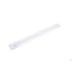 LED -tuli 18W 6000K, Volteno hind ja info | Laelambid | kaup24.ee