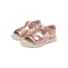 Laste sandaalid, nahast, D.D.Step AC055-63BMMetallic Pink цена и информация | Детские сандали | kaup24.ee