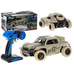 Kaugjuhitav sõiduk Rc Racing hind ja info | Poiste mänguasjad | kaup24.ee