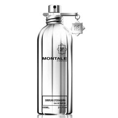 Parfüümvesi Montale Paris Embruns d'Essaouira EDP unisex 100 ml hind ja info | Naiste parfüümid | kaup24.ee