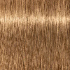 Краска для волос Schwarzkopf Igora Royal Absolutes 8.50, 60 мл. цена и информация | Краска для волос | kaup24.ee
