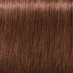 Краска для волос Schwarzkopf Igora Royal Absolutes 6.580, 60 мл цена и информация | Краска для волос | kaup24.ee