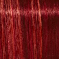 Краска для волос Schwarzkopf Igora Royal Fashion Lights L-88, 60 мл цена и информация | Краска для волос | kaup24.ee