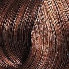 Краска для волос Wella Color Touch 66.04, 60 мл. цена и информация | Краска для волос | kaup24.ee