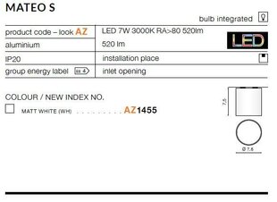 Azzardo потолочный светильник Mateo S White цена и информация | Потолочные светильники | kaup24.ee