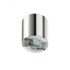 Azzardo потолочный светильник Brant Chrome цена и информация | Потолочные светильники | kaup24.ee