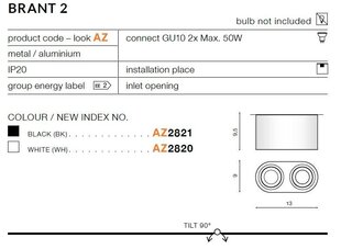 Azzardo потолочный светильник Brant 2 White цена и информация | Потолочные светильники | kaup24.ee