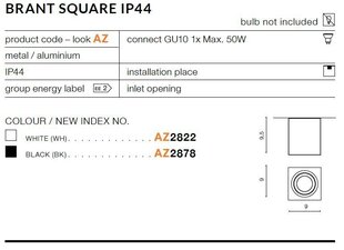 Laevalgusti Azzardo Brant White hind ja info | Laelambid | kaup24.ee