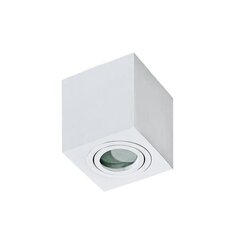 Azzardo потолочный светильник Brant White цена и информация | Потолочные светильники | kaup24.ee