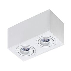 Azzardo потолочный светильник Brant 2 White цена и информация | Потолочные светильники | kaup24.ee