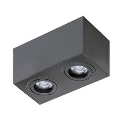 Azzardo потолочный светильник Brant 2 Black цена и информация | Потолочные светильники | kaup24.ee