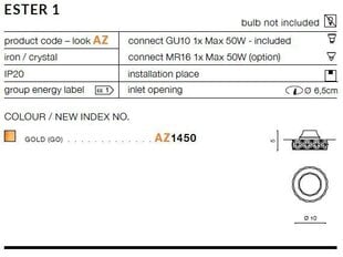 Azzardo потолочный светильник Ester 1 Gold цена и информация | Монтируемые светильники, светодиодные панели | kaup24.ee