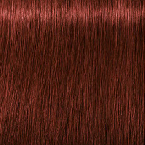 Краска для волос Schwarzkopf Igora Royal Absolutes 6.80, 60 мл цена |  kaup24.ee