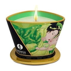 Lõhnaküünal - massaažiõli Green Tea Shunga, 170 ml hind ja info | Massaažiõlid | kaup24.ee