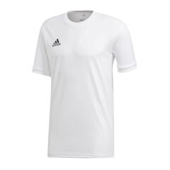 Спортивная футболка мужская, adidas Team 19 M DW6896 белый цена и информация | Мужская спортивная одежда | kaup24.ee