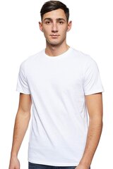 T-särgid Tom Tailor 718356091000-L цена и информация | Мужские футболки | kaup24.ee